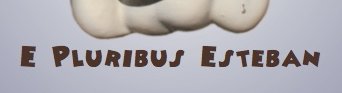 E Pluribus Esteban